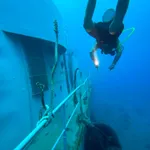 Scuba diving the new shipwreck