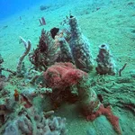 Bottles marking the entrance of La casa and underwater pyramids