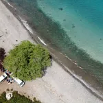 best time to dive beh