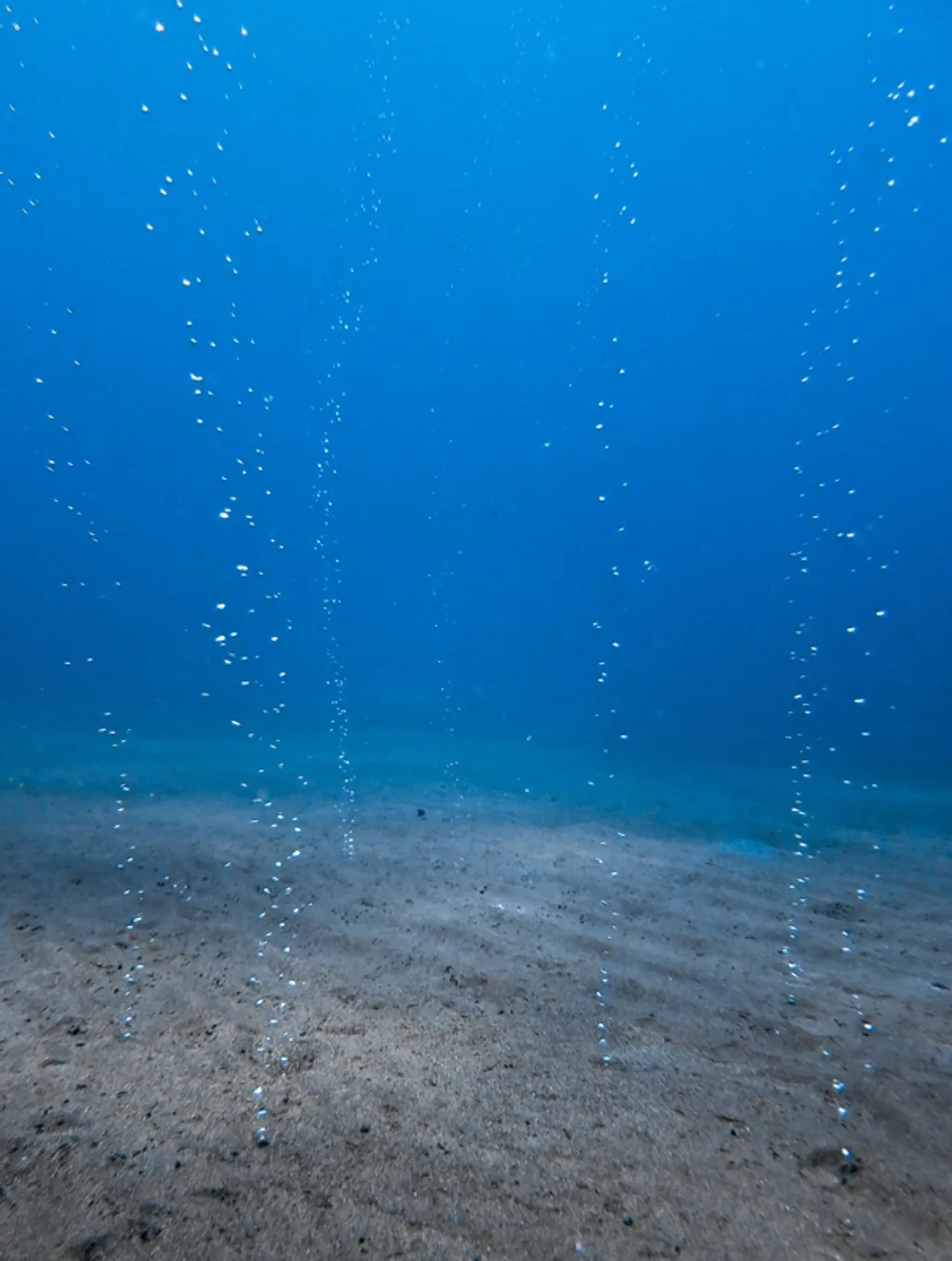 Bubble Beach