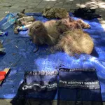 Fishing net and other trash Roda Reef