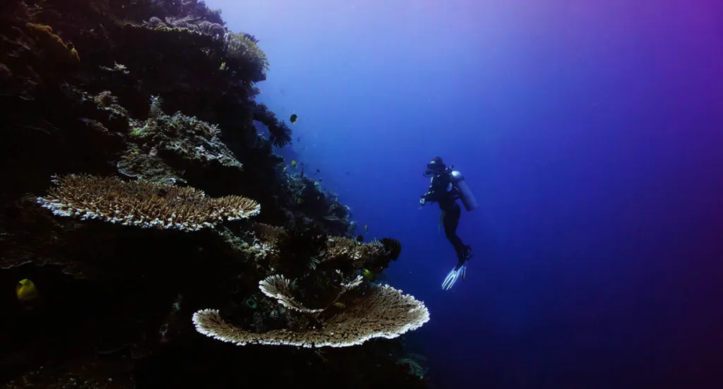 Outer Reef